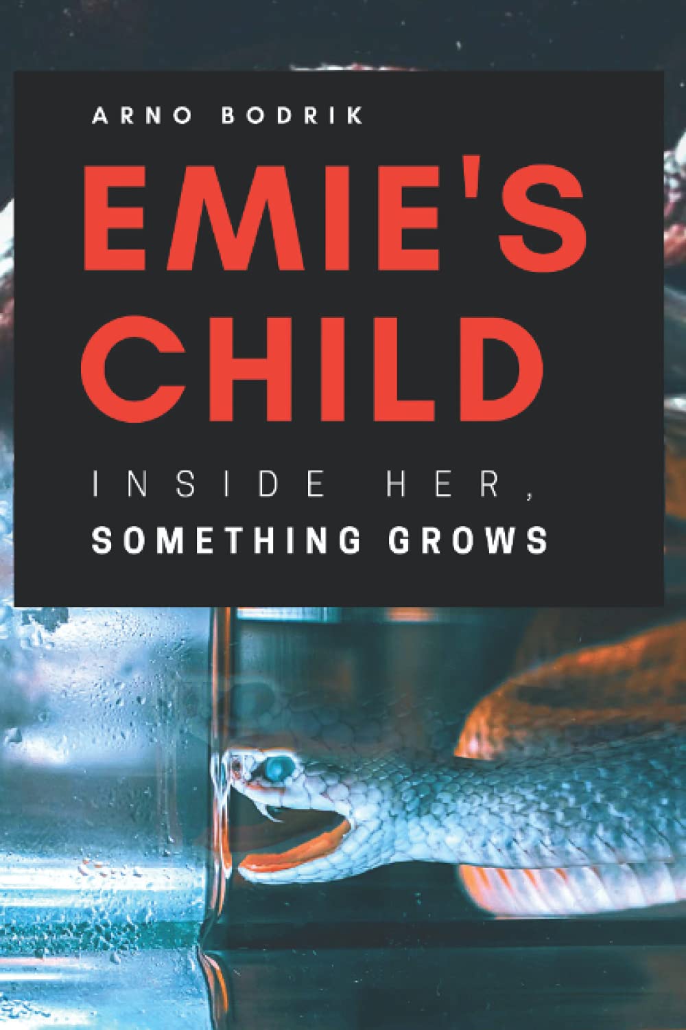 Emie's Child poster