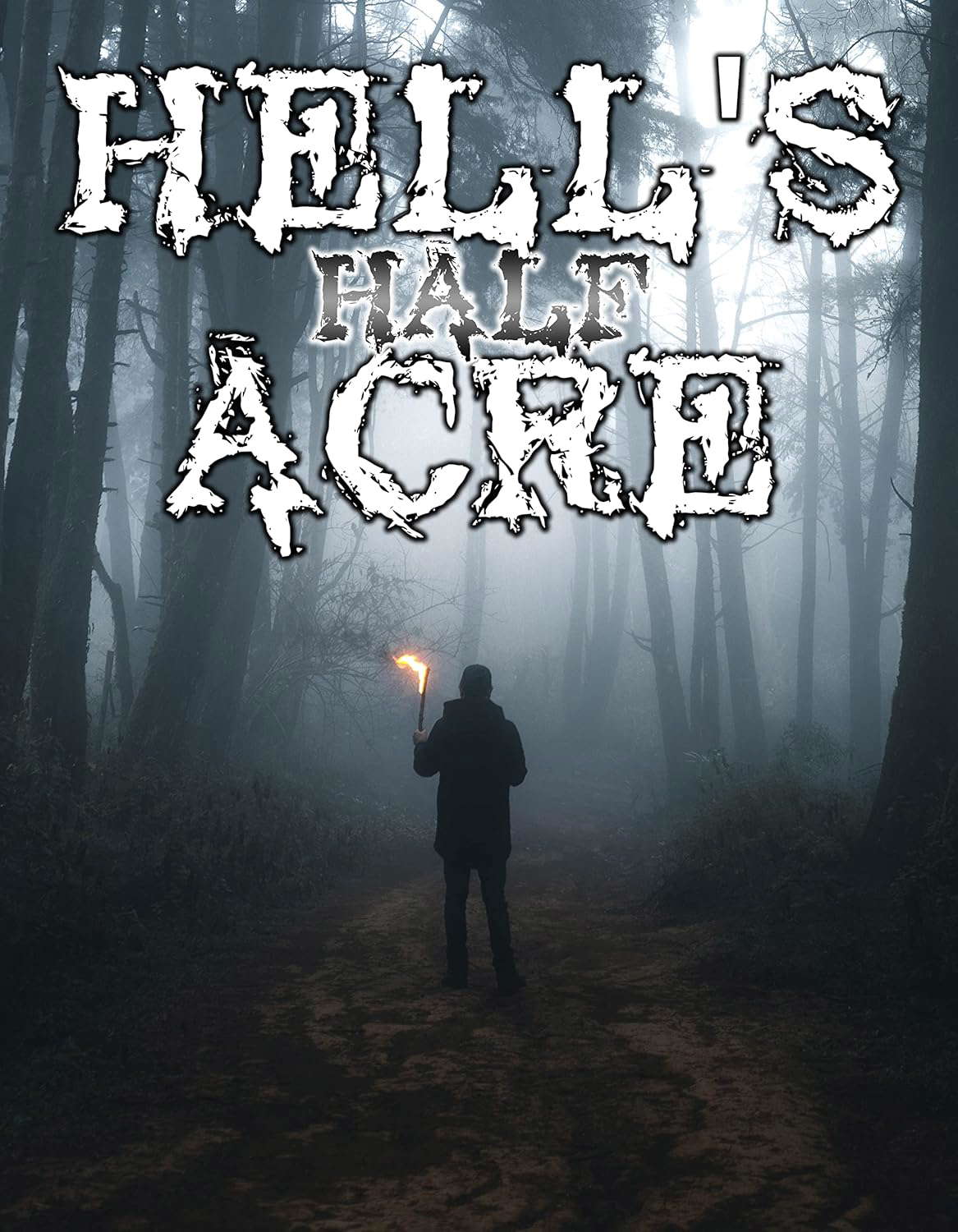 Hell's Half Acre: Issue 1 poster