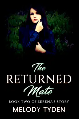 The Returned Mate poster