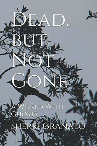Dead, but Not Gone: A World With Ghosts poster