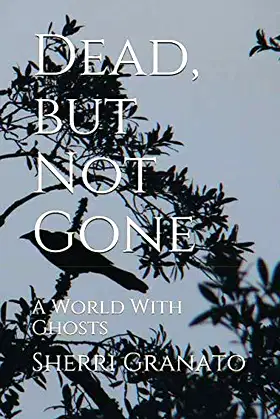Dead, but Not Gone: A World With Ghosts poster