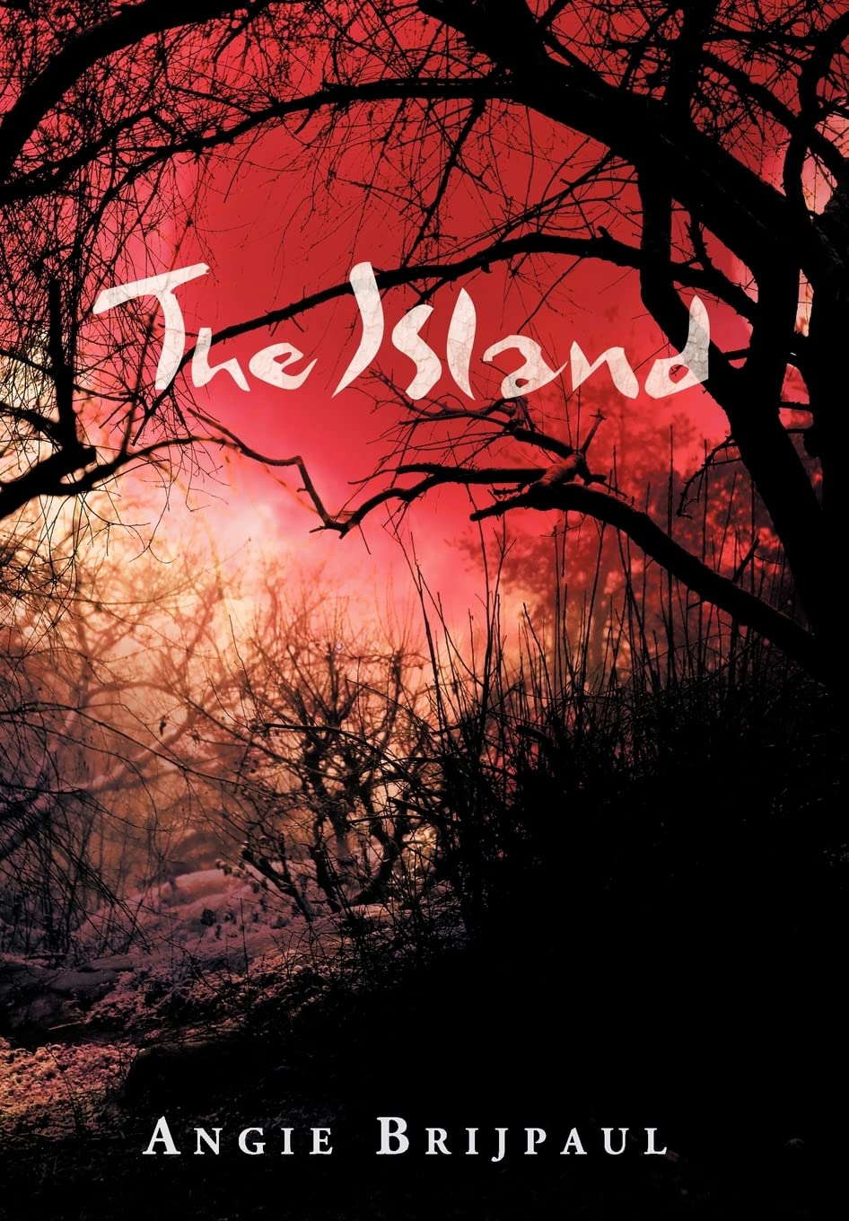 The Island poster