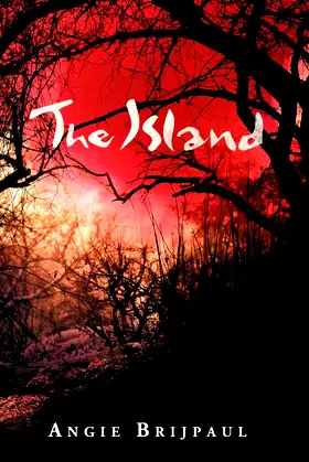 The Island poster