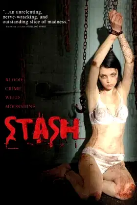 Stash poster