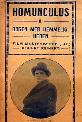 The Mysterious Book poster