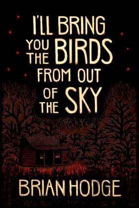I'll Bring You the Birds From out of the Sky poster