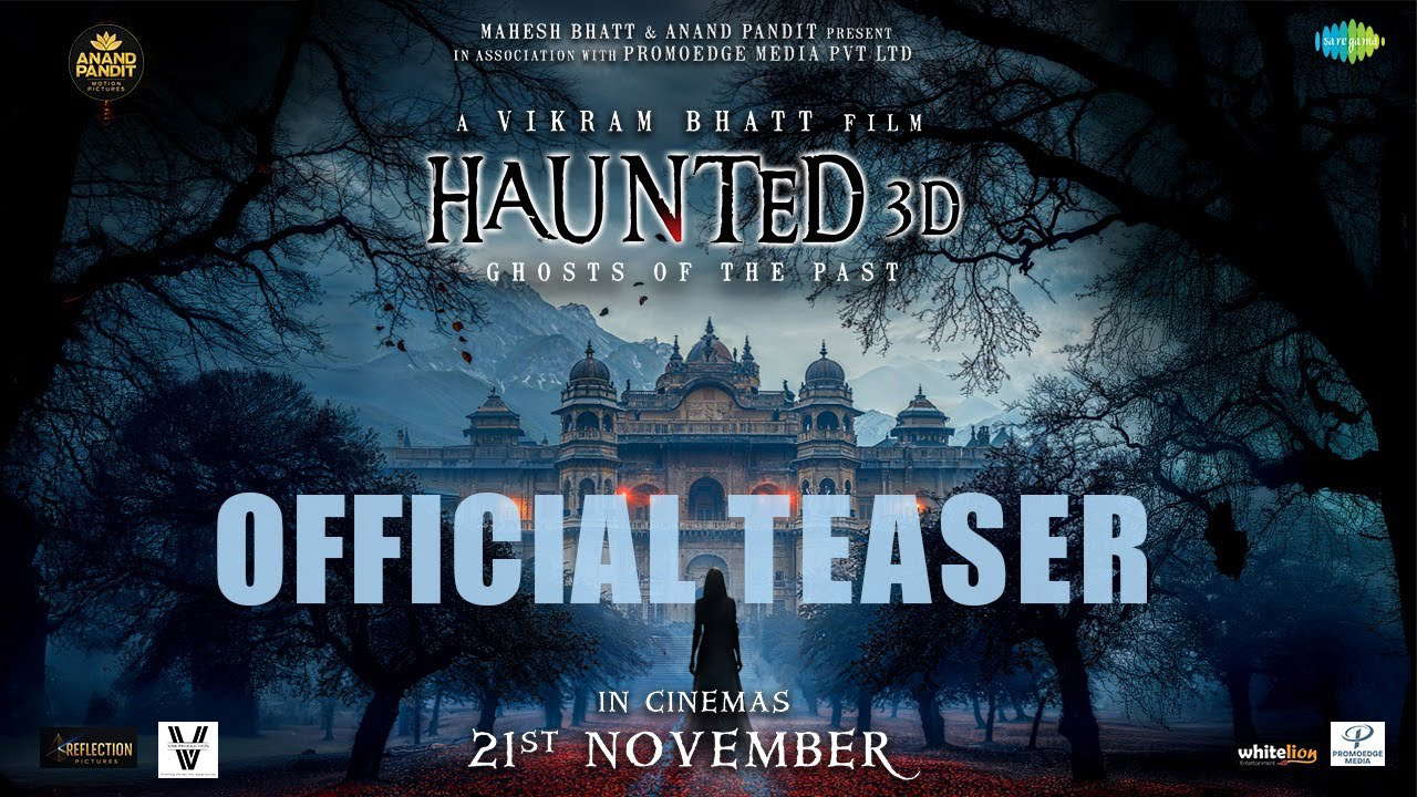 Poster for Haunted 3D: Echoes of the Past