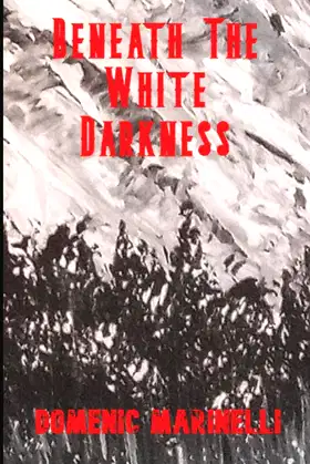 Beneath The White Darkness poster