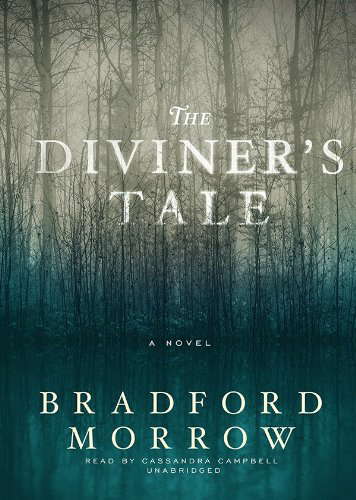 The Diviner's Tale poster