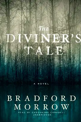 The Diviner's Tale poster