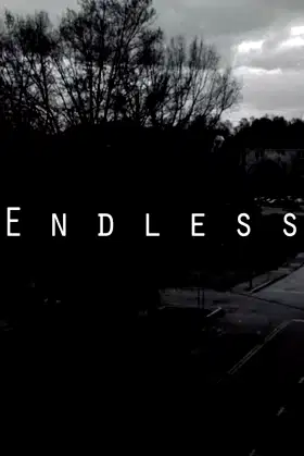 Endless poster