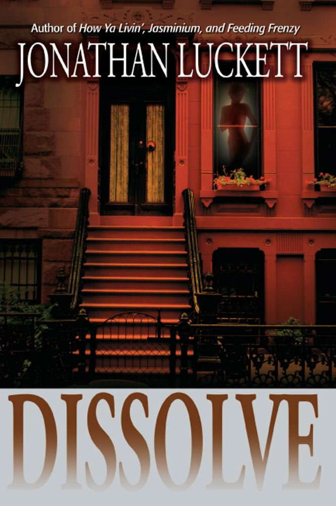 Dissolve: A Novel poster