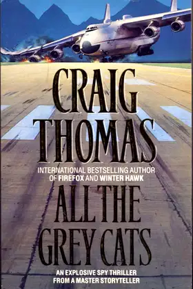 ALL THE GREY CATS poster