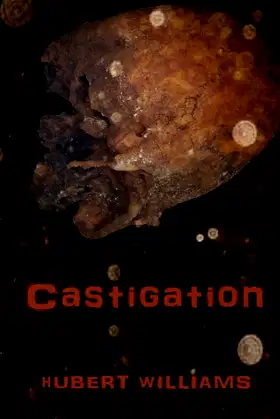 Castigation poster