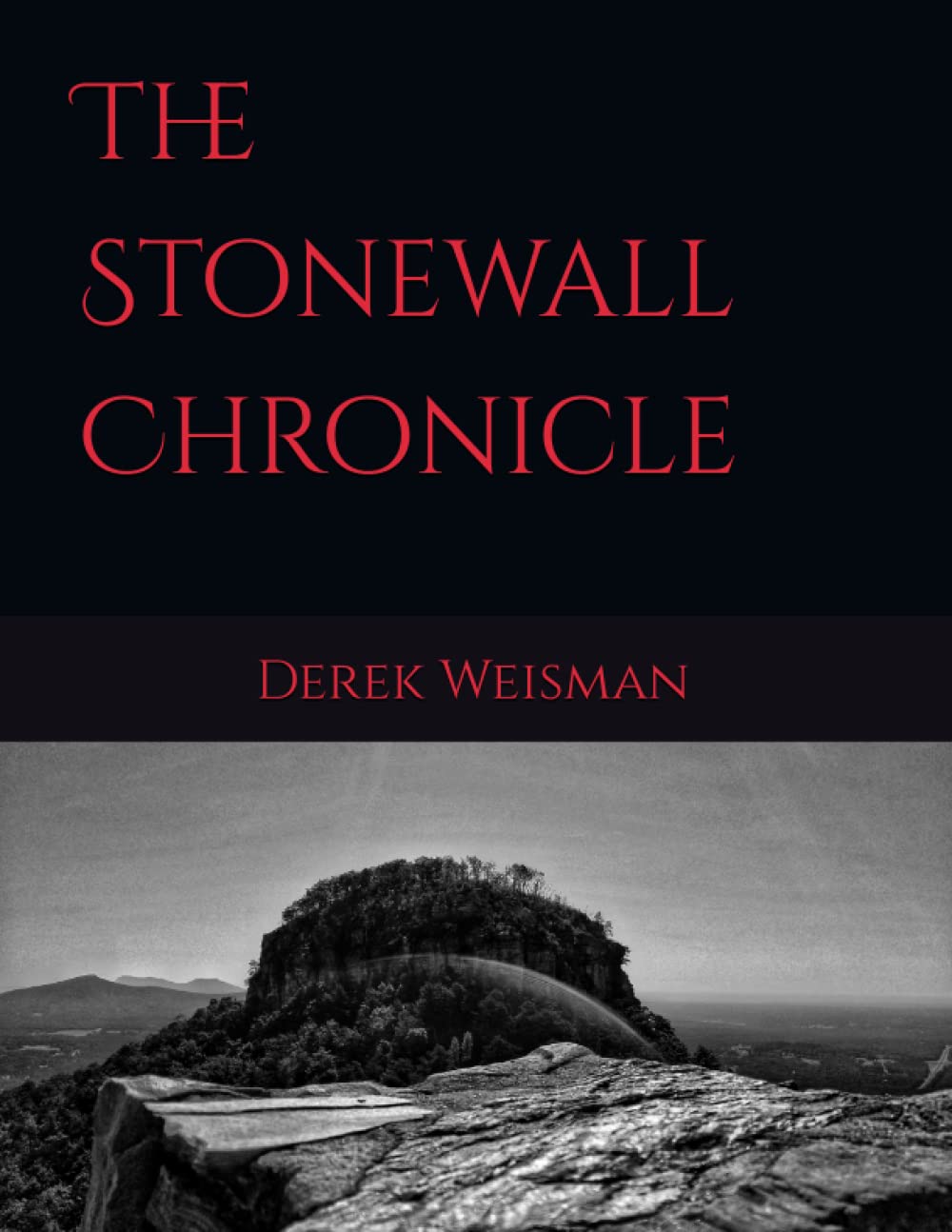 The Stonewall Chronicle poster