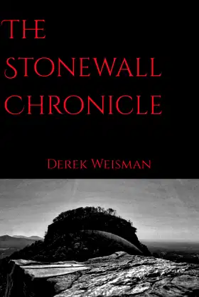 The Stonewall Chronicle poster