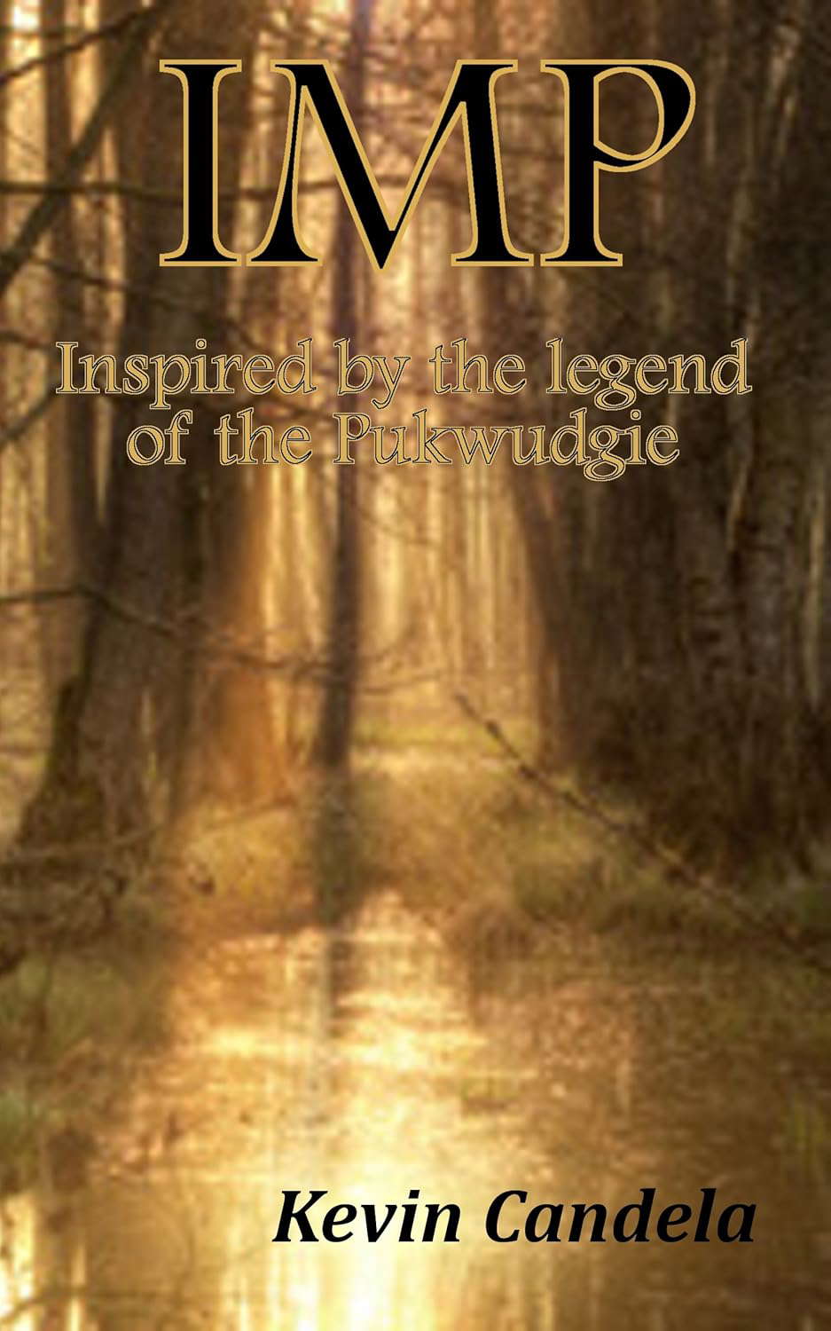 Imp poster
