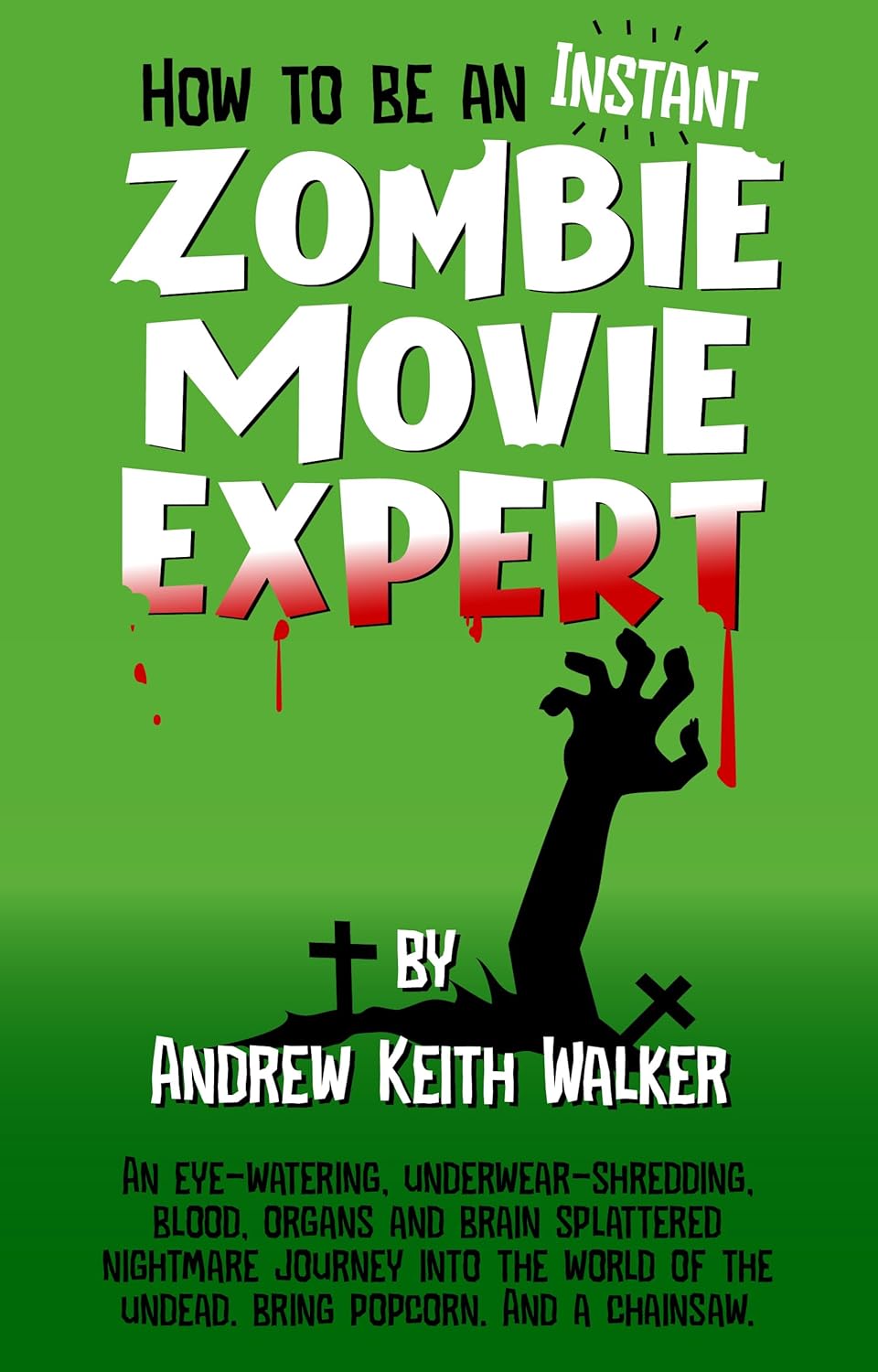 How to Be an Instant Zombie Movie Expert (The Instant Expert) poster