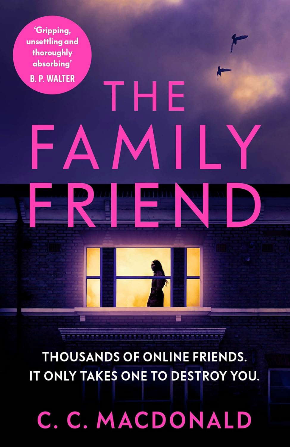 The Family Friend: the gripping and twist-filled thriller poster