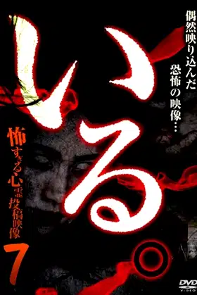 「Iru.」~ Kowasugiru Tōkō Eizō 13-hon ~ Vol.7 poster