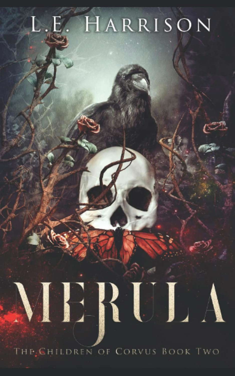 Merula poster