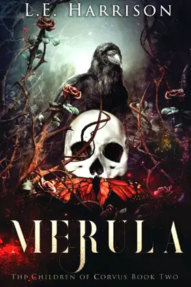 Merula poster