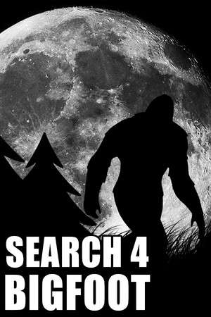 Search 4 Bigfoot poster