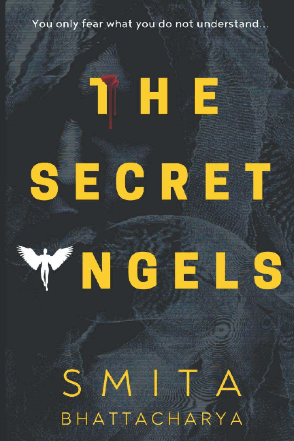 The Secret Angels (Darya Nandkarni's Misadventures) poster