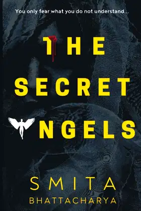 The Secret Angels (Darya Nandkarni's Misadventures) poster