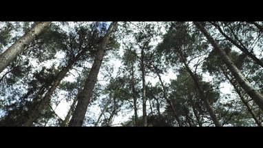 THE HIKE - Official Trailer 2011 poster