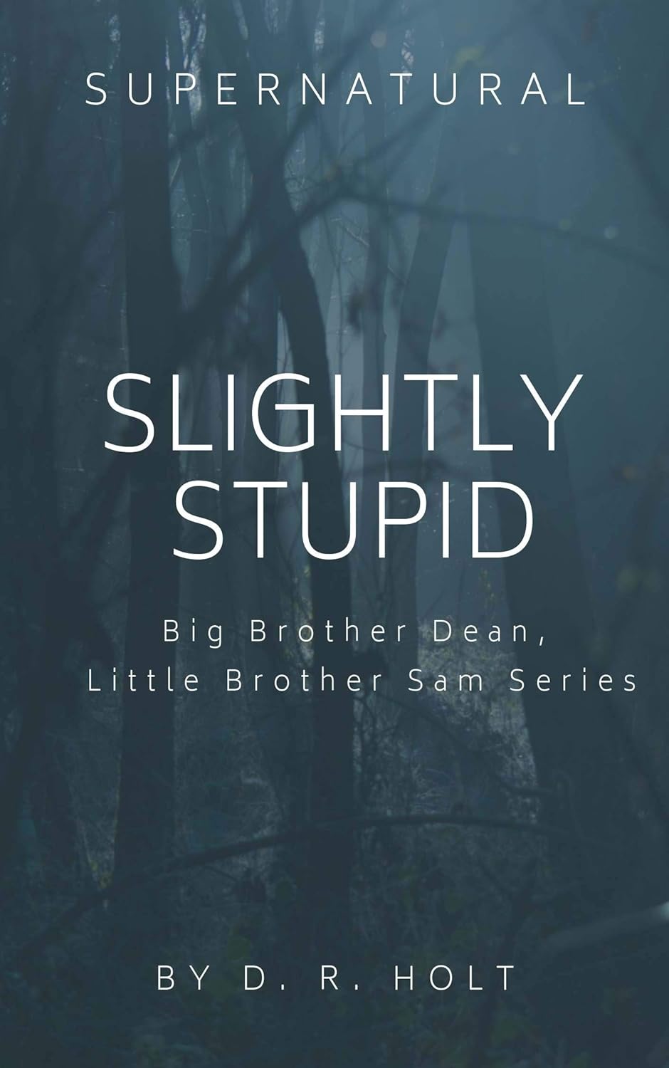 Slightly Stupid: Big Brother Dean, Little Brother Sam Series poster