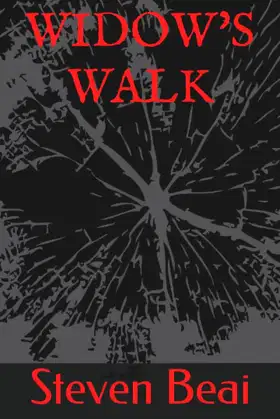 WIDOW'S WALK poster