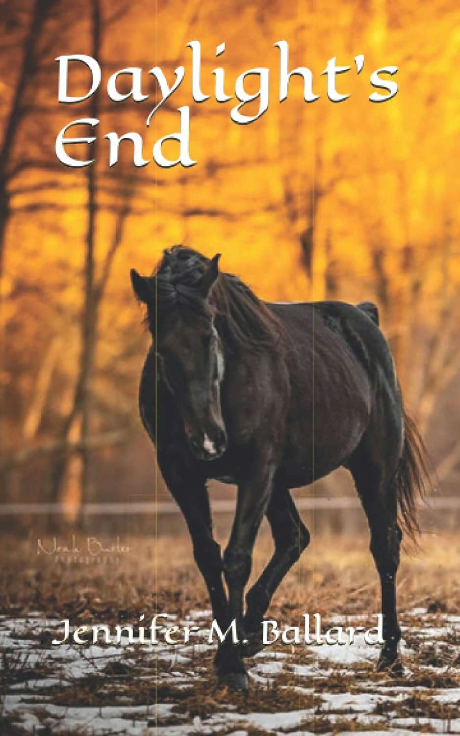 Daylight's End poster