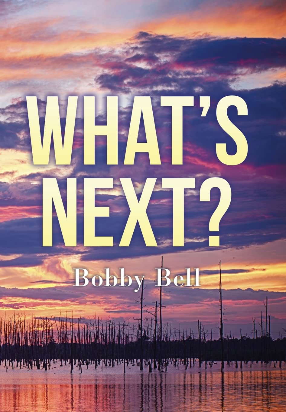 What's Next ? poster