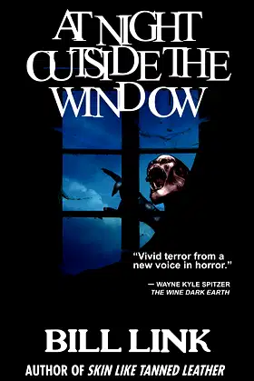 At Night Outside the Window poster