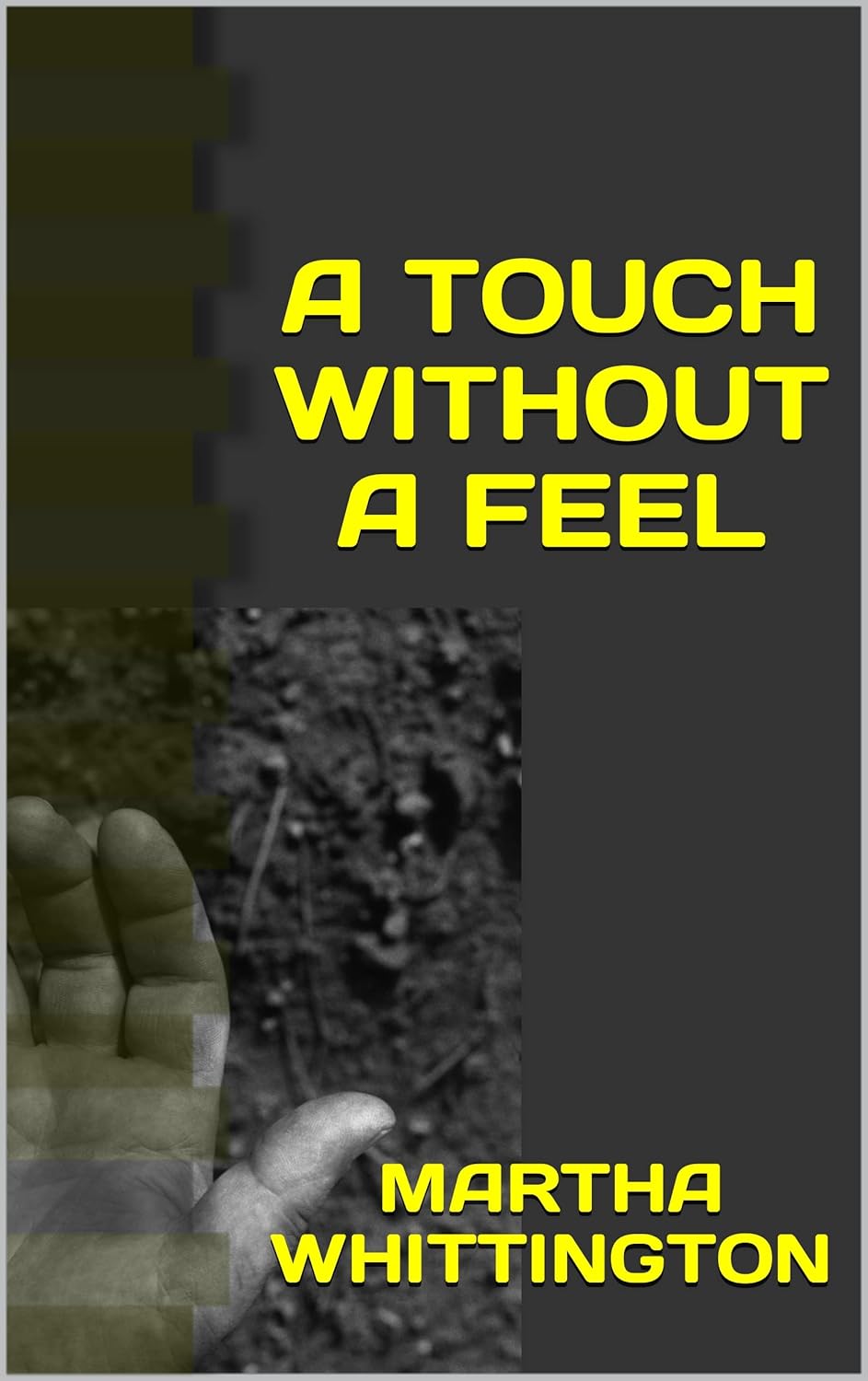 A Touch without A Feel poster