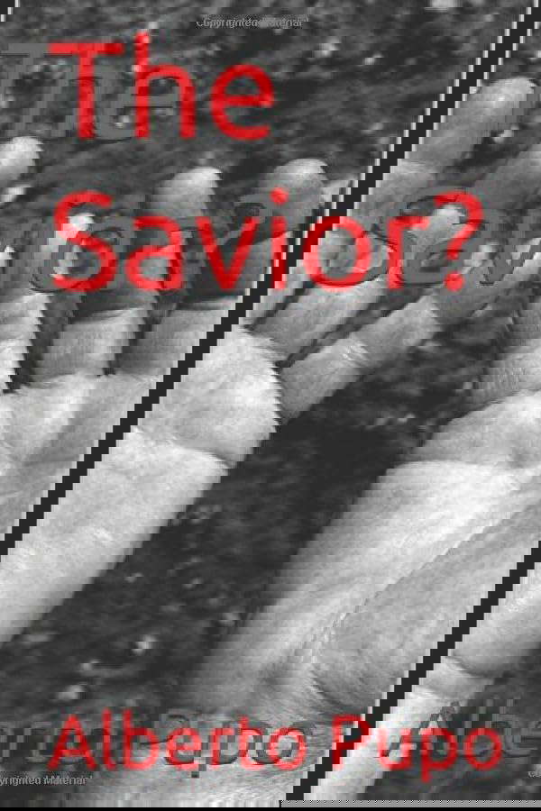 The Savior? poster