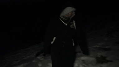 Mystery in the Woods (a found footage horror film) - see description poster