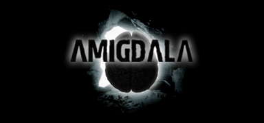 Amigdala capsule