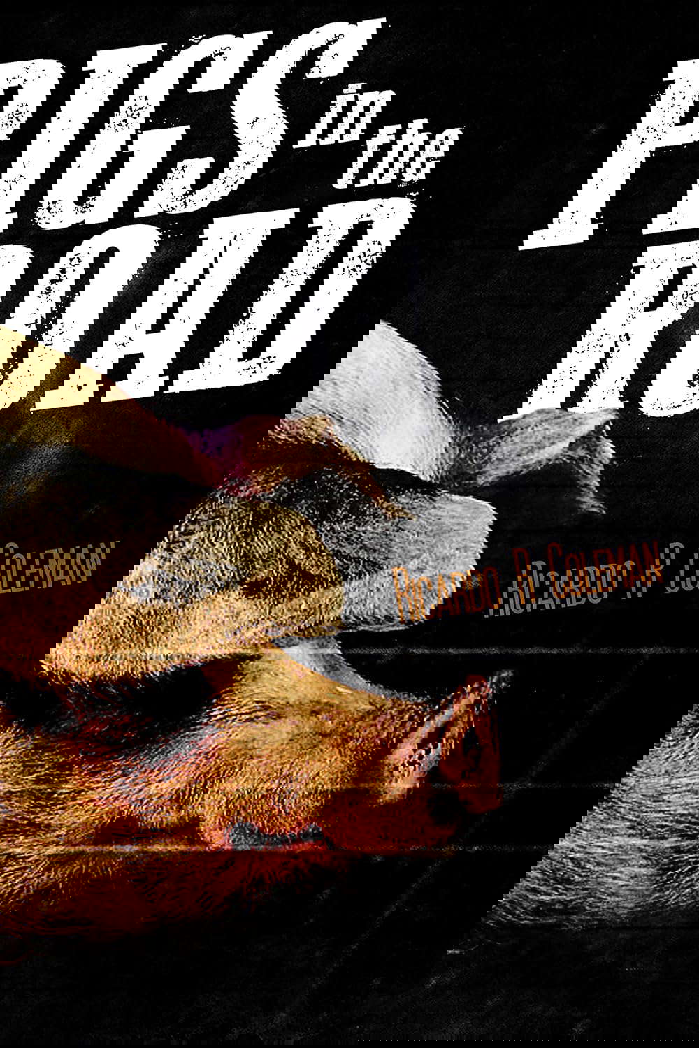 Pigs in the Road (Interrogating Horrors Book 1) poster