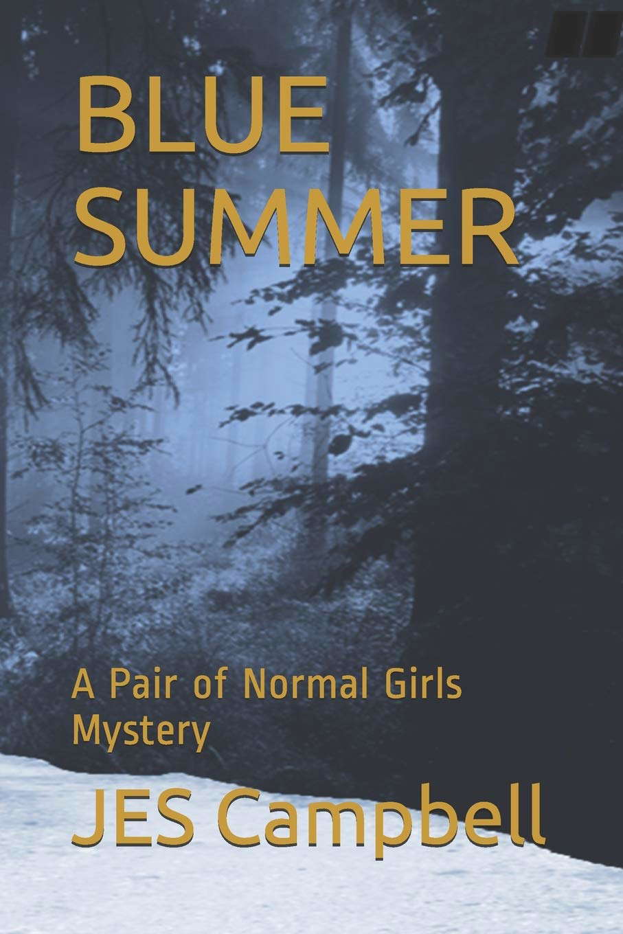 Blue Summer: A Pair of Normal Girls Mystery poster