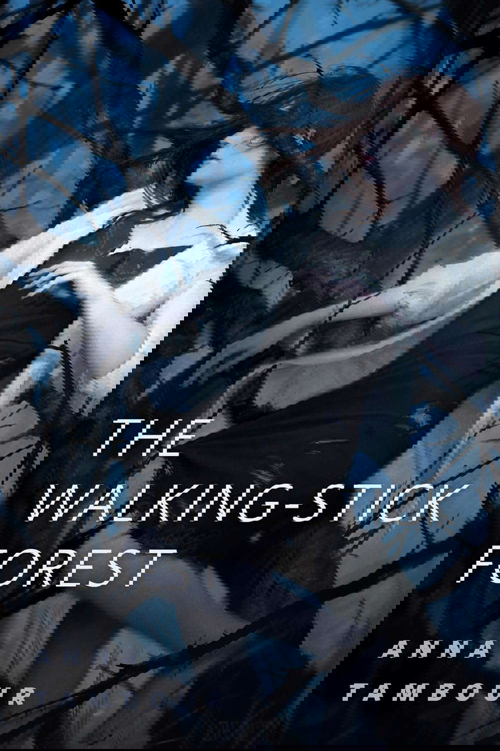 The Walking-stick Forest: A Tor.Com Original poster
