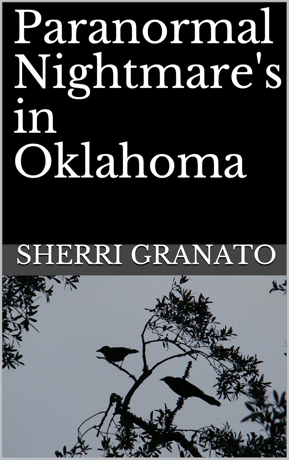 Paranormal Nightmare's in Oklahoma poster