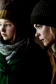 The Cold poster