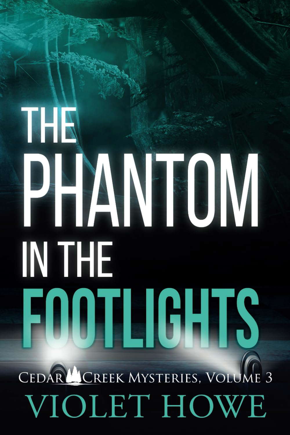 The Phantom in the Footlights (Cedar Creek Mysteries) poster