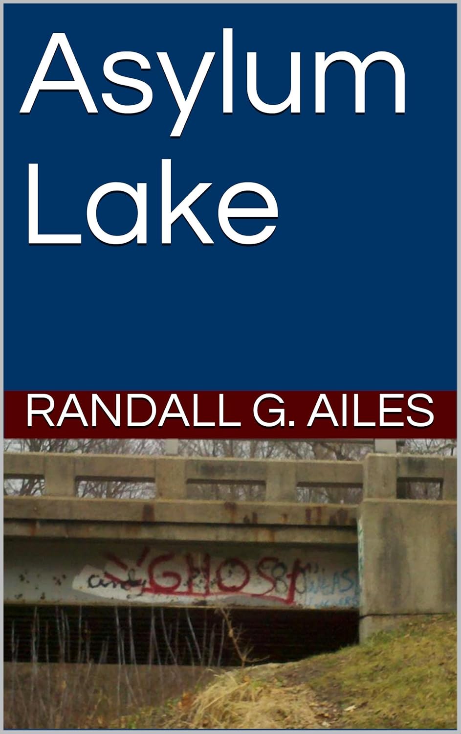 Asylum Lake poster