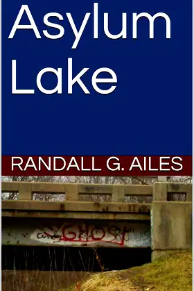 Asylum Lake poster