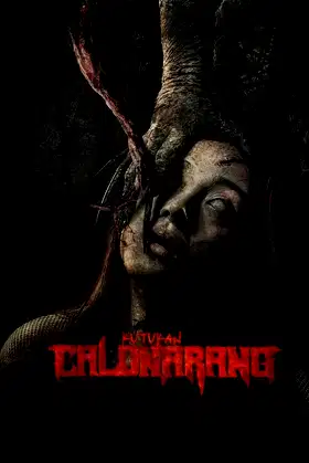 Kutukan Calon Arang poster