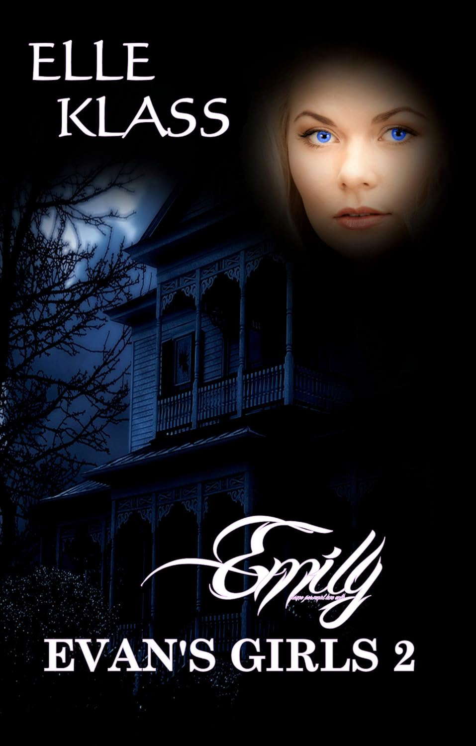 Emily: A haunting and chilling horror (Evan's Girls Book 2) poster