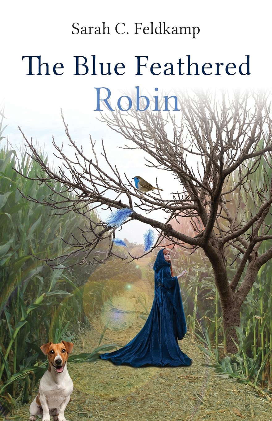 The Blue Feathered Robin poster